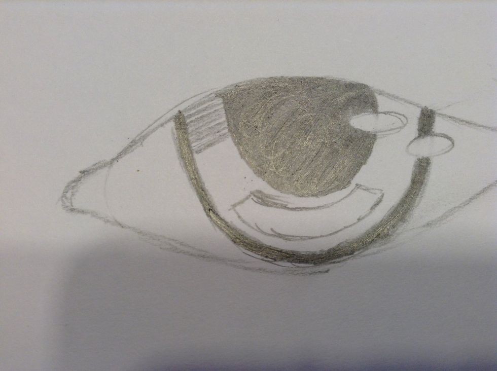 Start making lines like this in the iris..