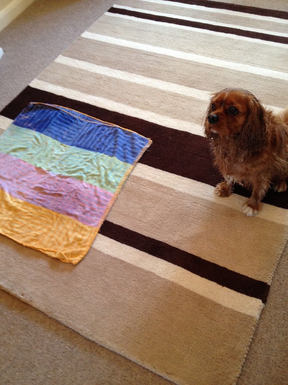 Start off near their bed or where they usually spend a lot of time. The puppy mats usually have a scent which resembles dog wee, so it should be natural to "go" where it smells familiar of wee!