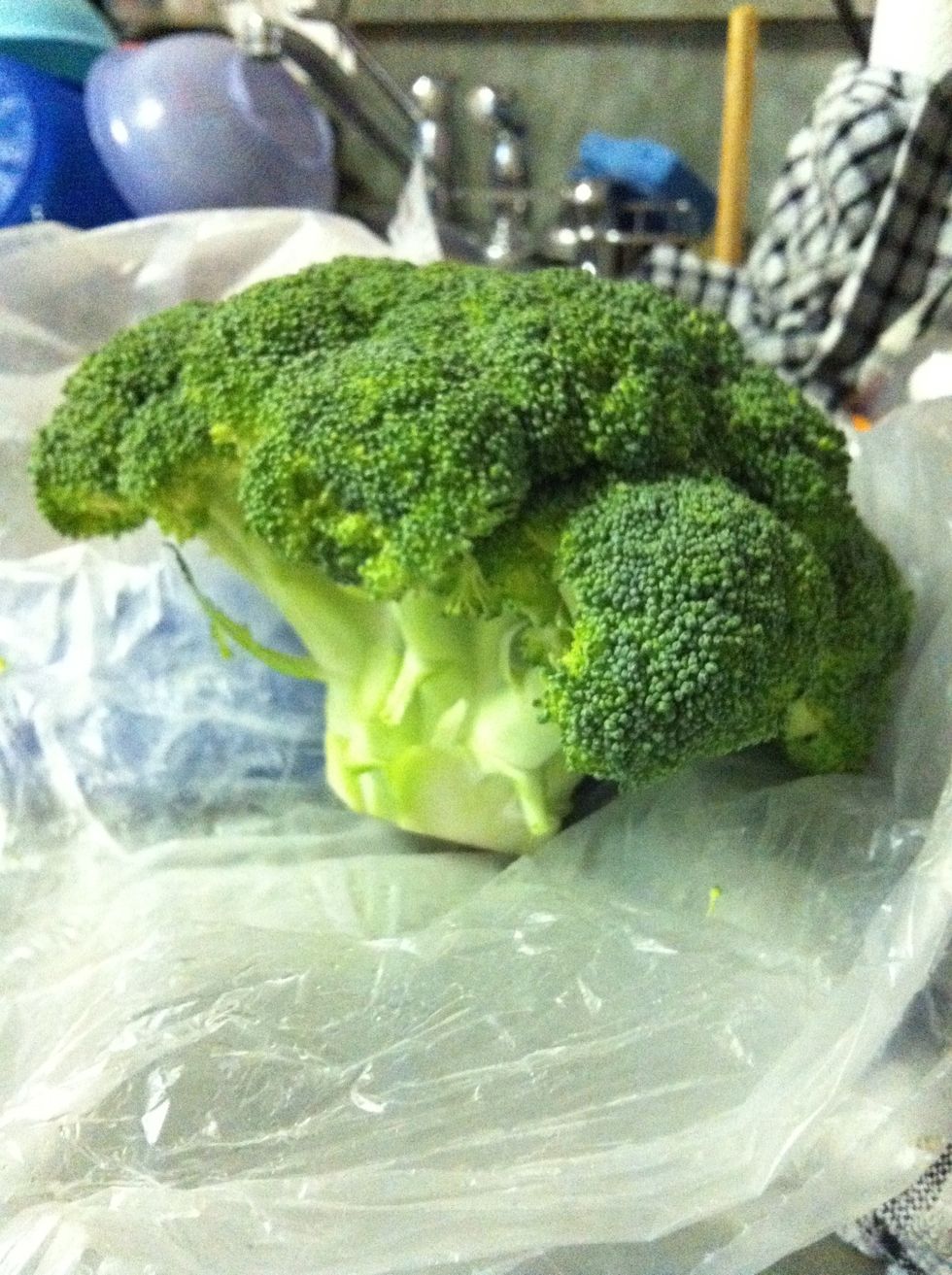 Start off with your head of broccoli.