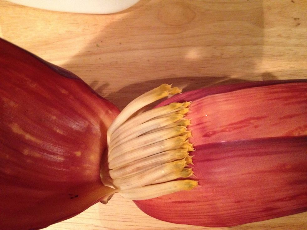 Start opening the outer leaves one by one. Under each leaf you will find a group of long pale yellow flowers. If they would have reached maturity, each of them would have turned into a yummy banana.