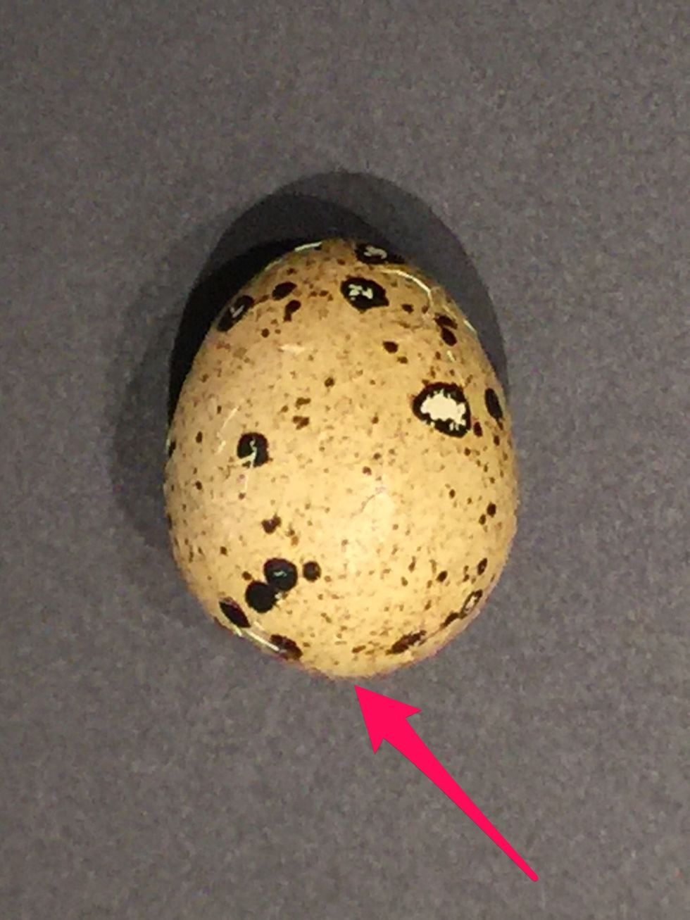 Start peeling from here