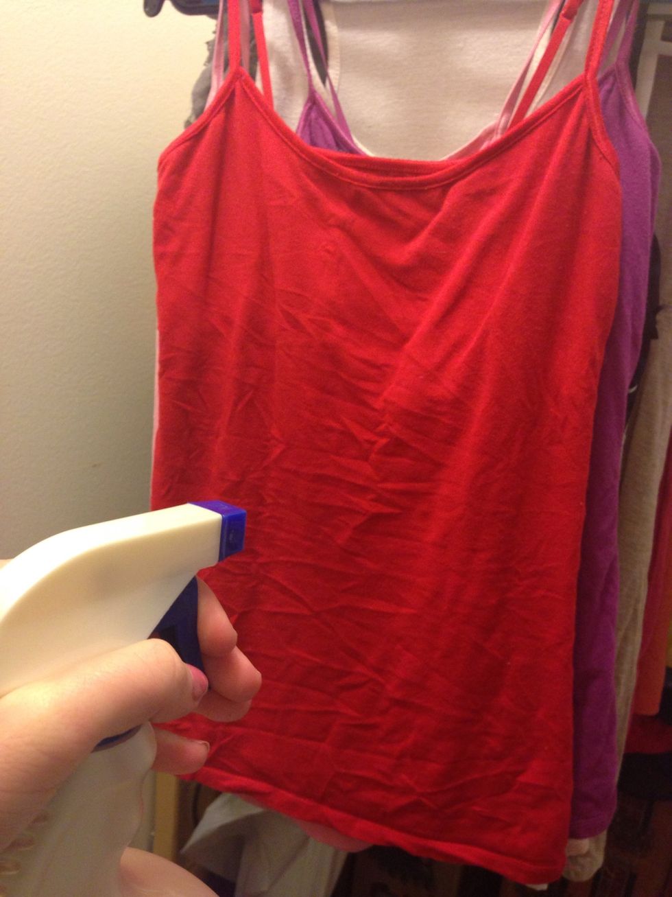 Start spraying your garment until its damp