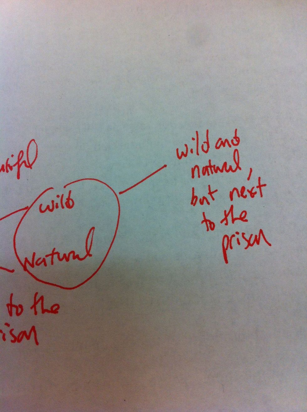 Start to build your commentary by connecting ideas together.