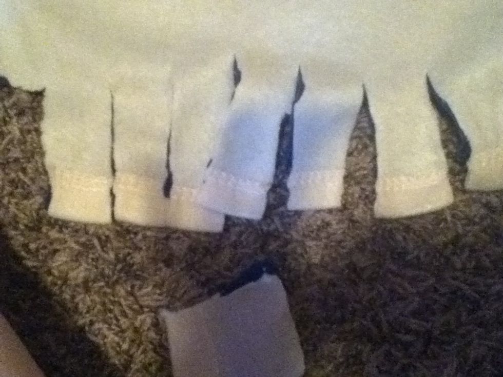 Start to cut strips about an inch wide along the edges