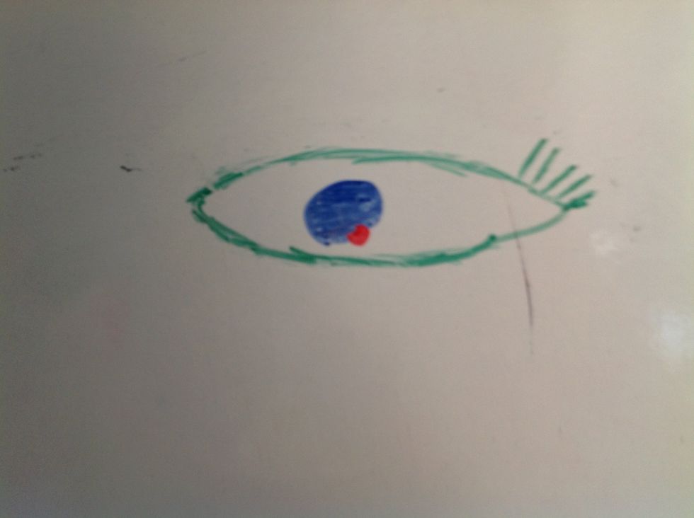 Start to draw the eye lashes.