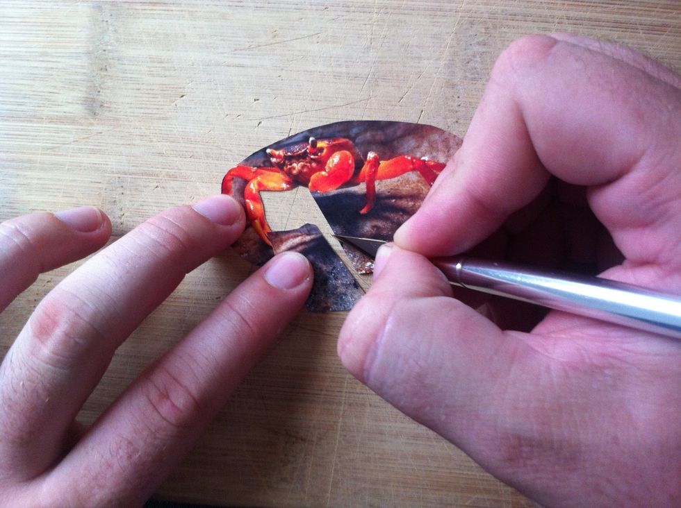 Start to refine the clippings. Cut away excess paper piece by piece so as not to rip the paper.