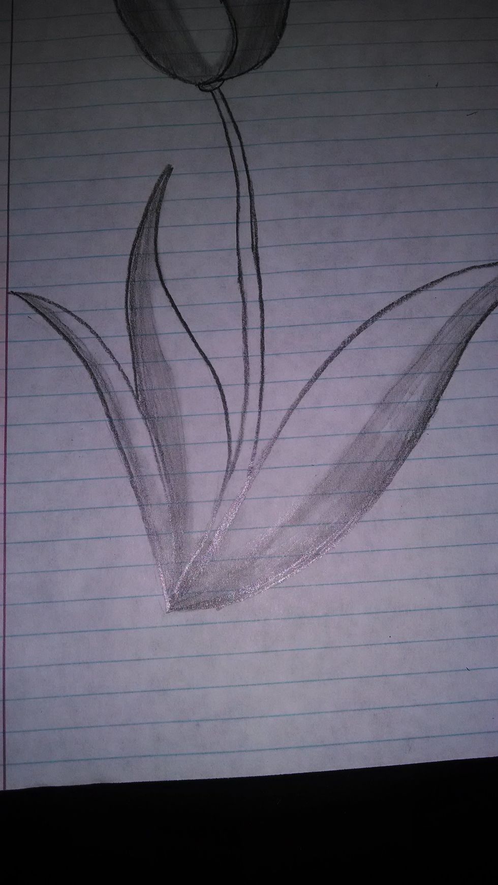 Start to shade in the leaves and petals