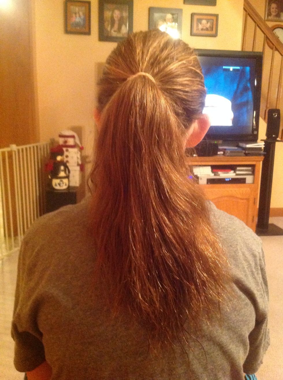 Start with a basic ponytail.