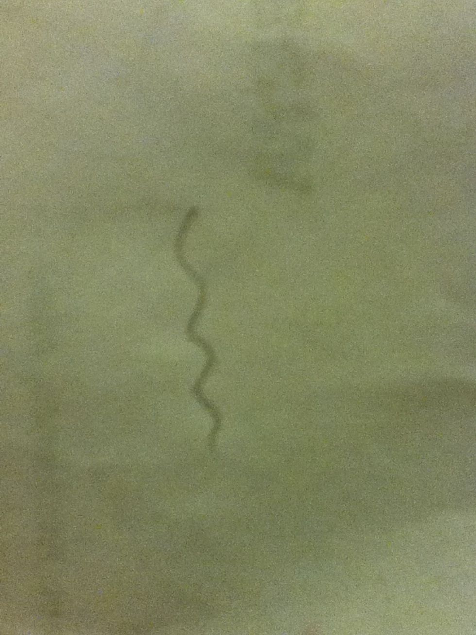 Start with a faint squiggly line