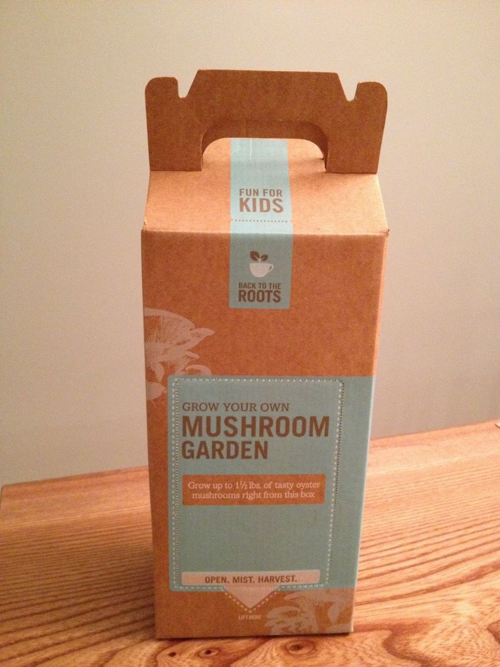 Start with a mushroom kit from Back to the Roots. Inside is the bag of coffee grinds and spores + a mister.