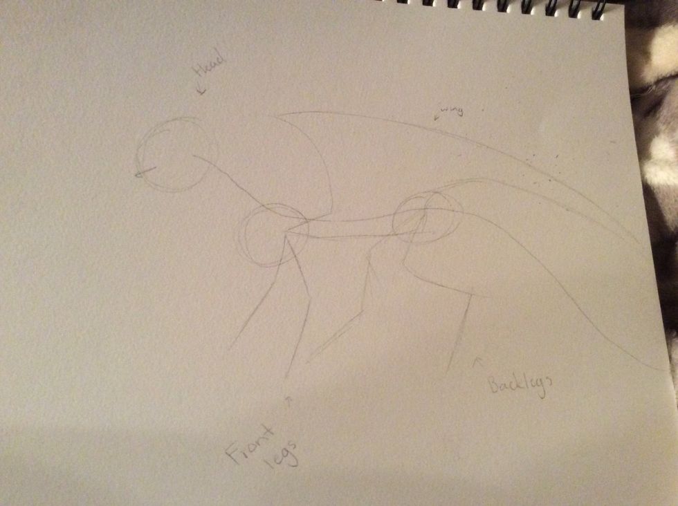 Start with a simple circle figure to show how your creature will be positioned