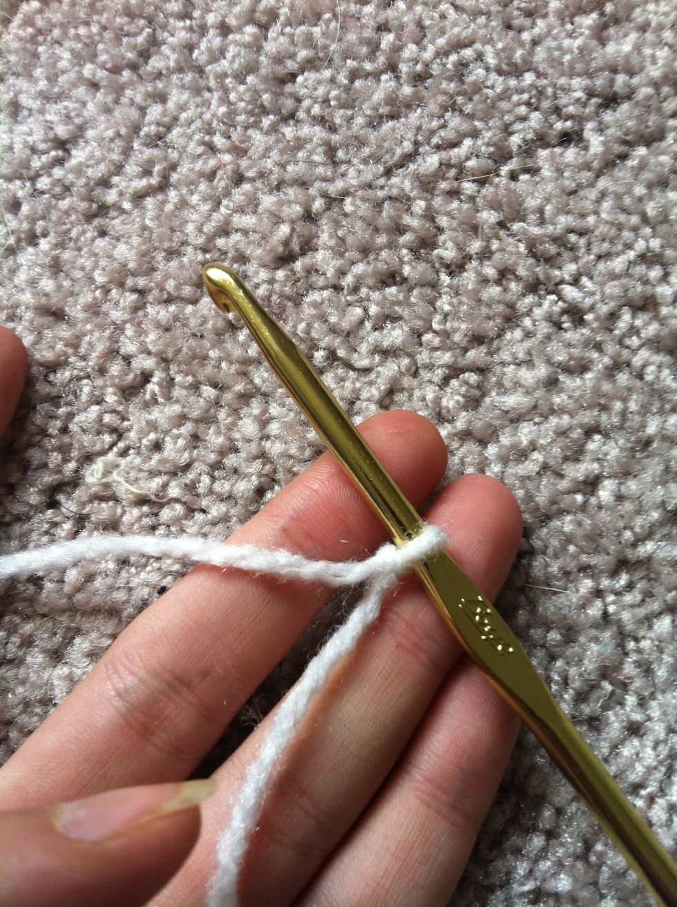 start with a slip knot on your hook.