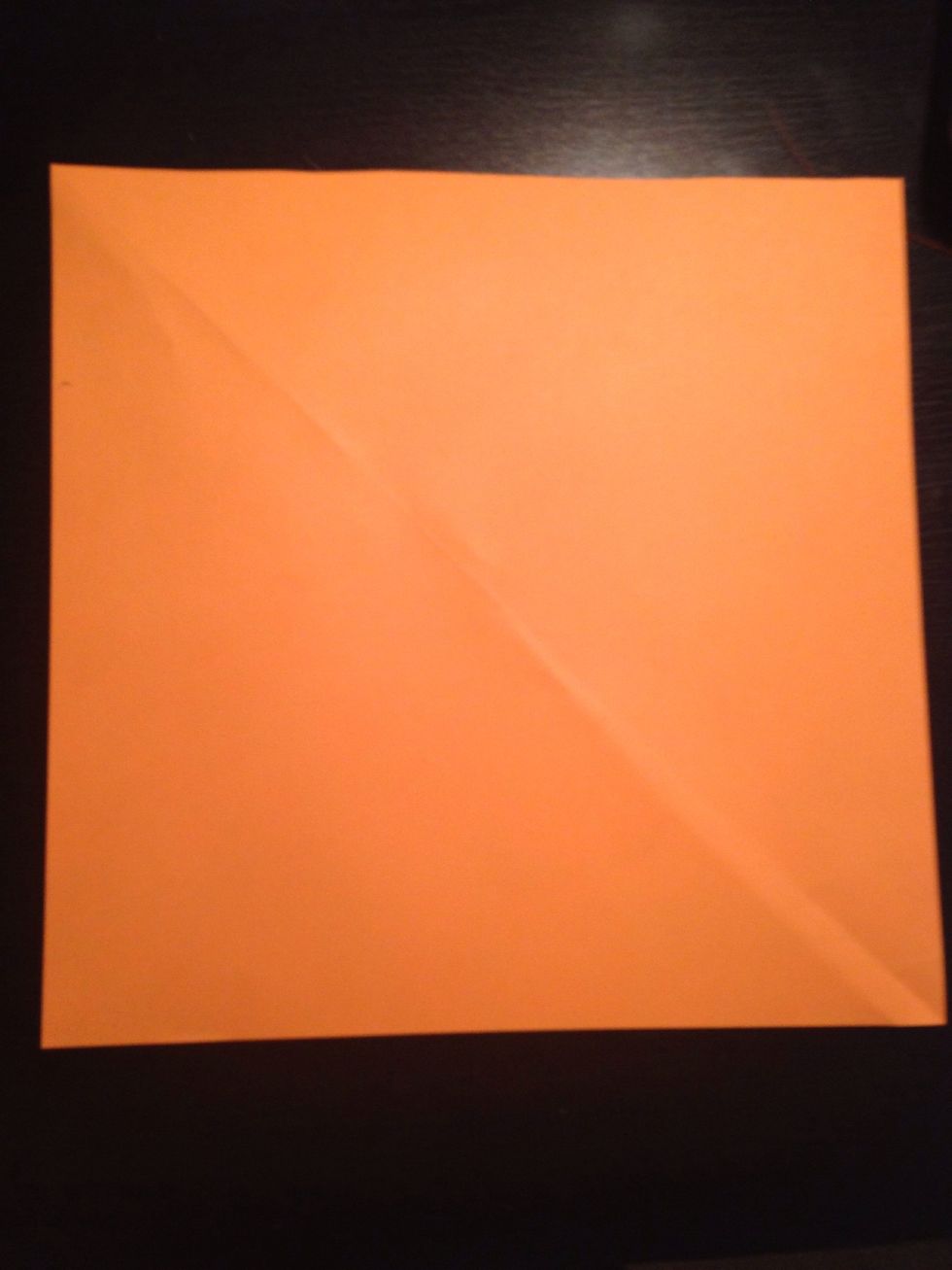 Start with a square piece of paper...