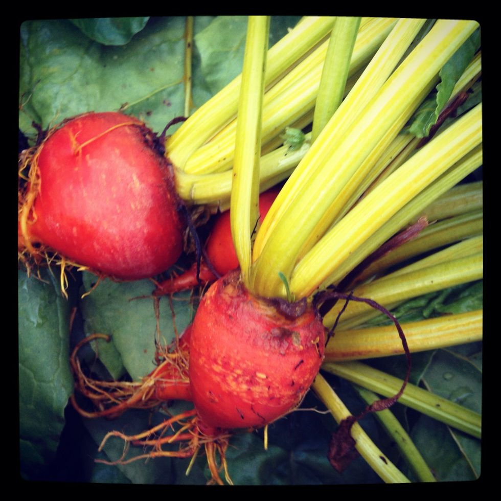 Start with beautiful fresh beets preferably with the tops on them. The tops should be crisp, fresh, and free if major damage.