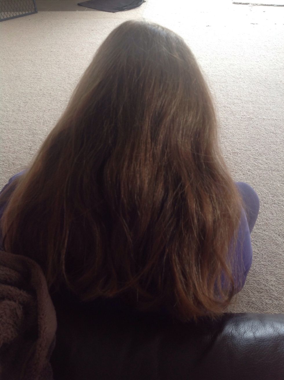 Start with clean brushed hair