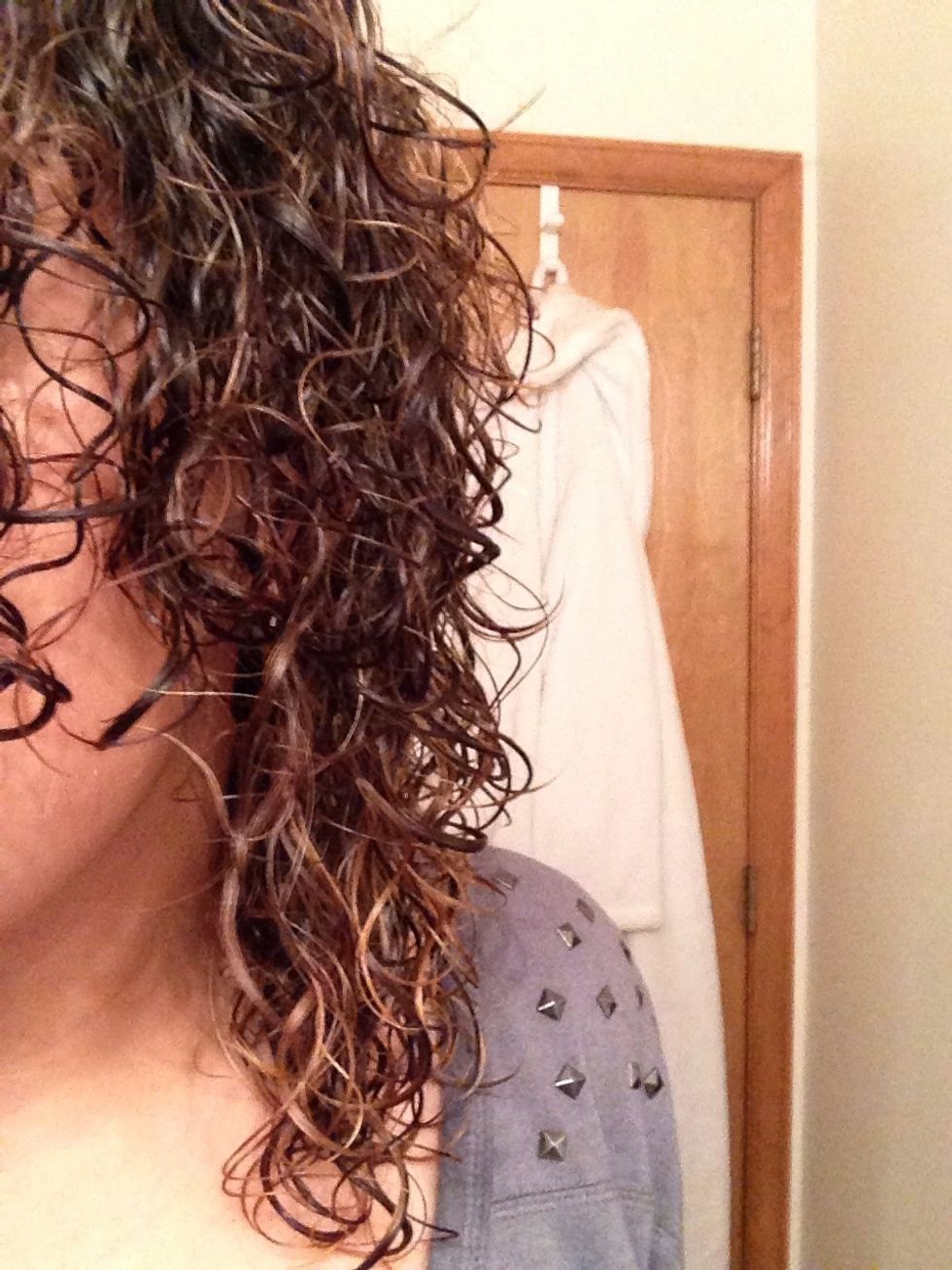 Start with damp hair (towel dried). Put a dime size amount of Aragon oil in your hands and work it through your hair. Make sure to comb out all the tangles! Next add the other products.