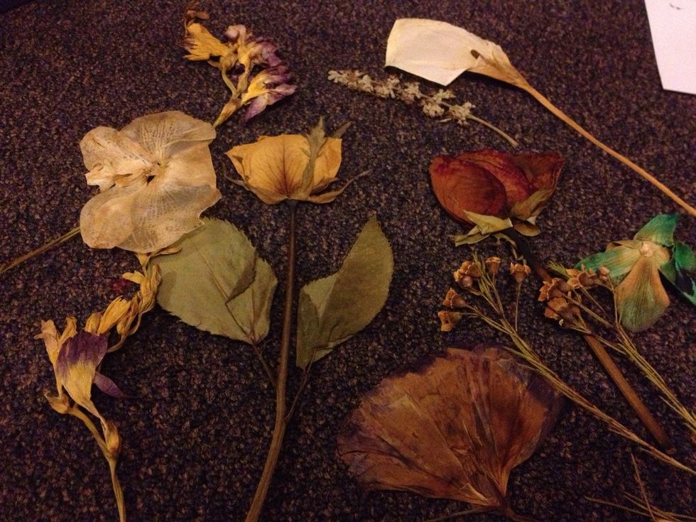 Start with drying out flowers . These took a couple weeks. Most flowers lose there colour and turn brown, so it's good to have a variety