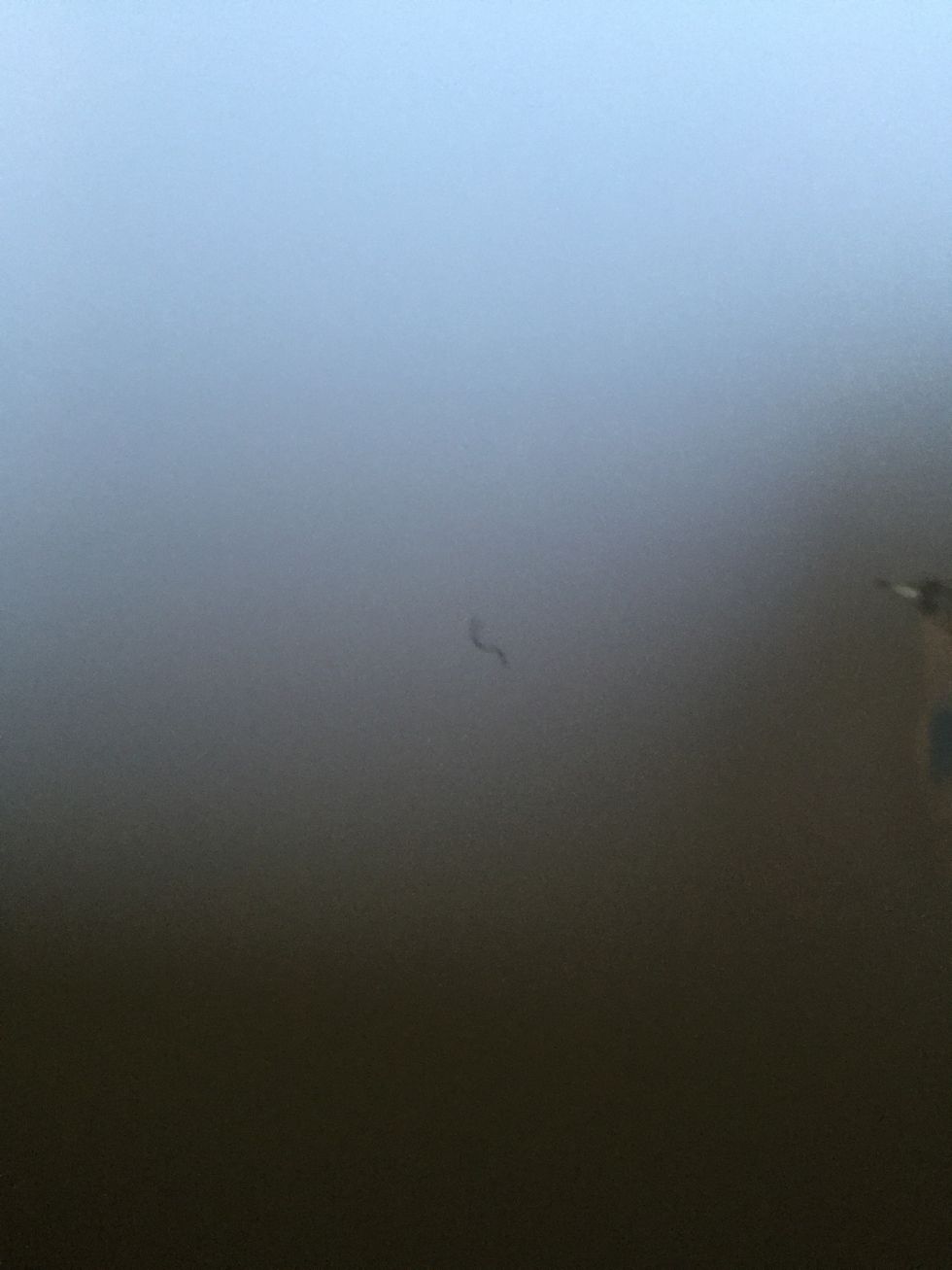 Start with lil sqwiggle