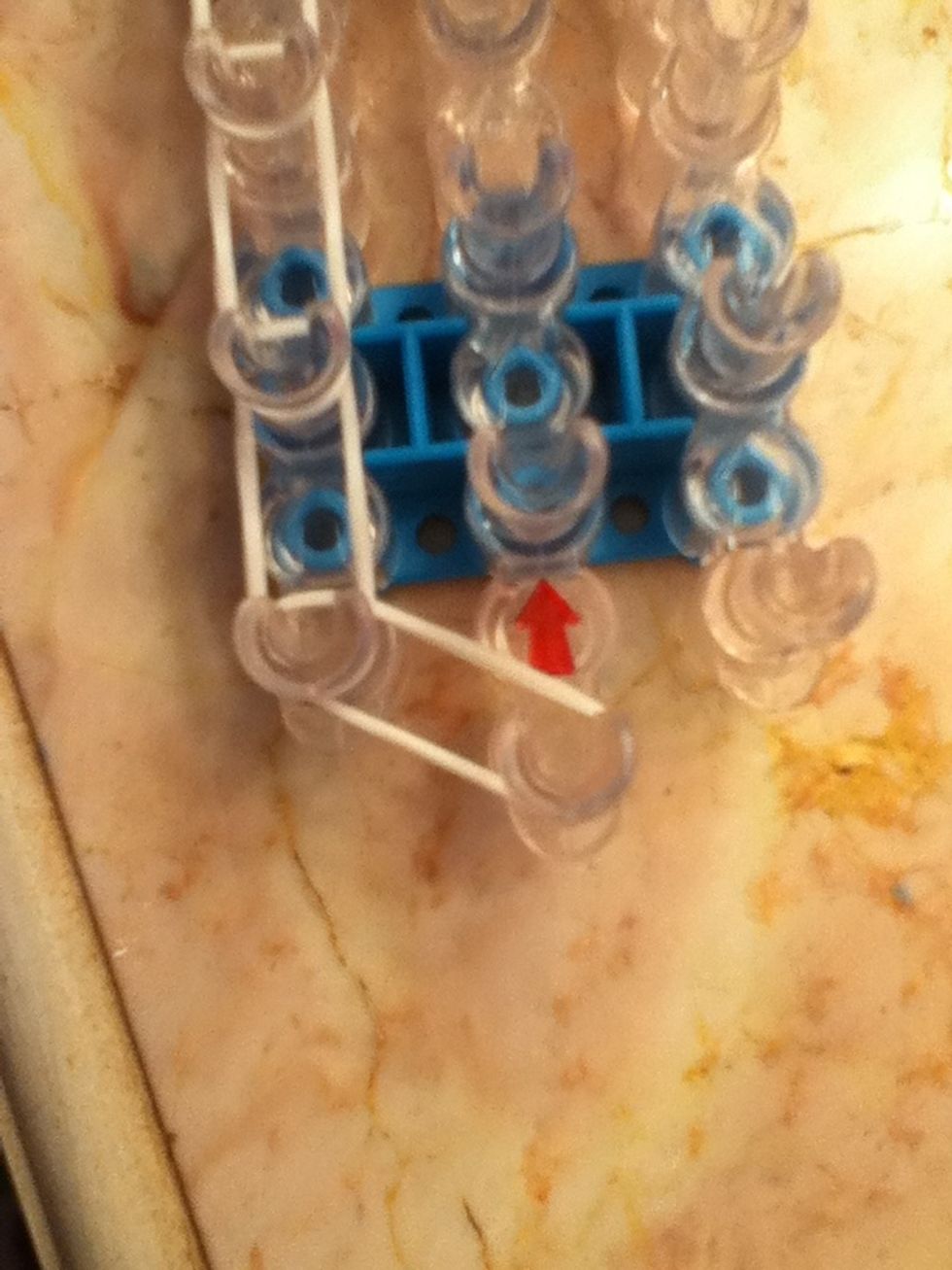 Start with putting any color rubber bands on the outside perimeter. I am using white.