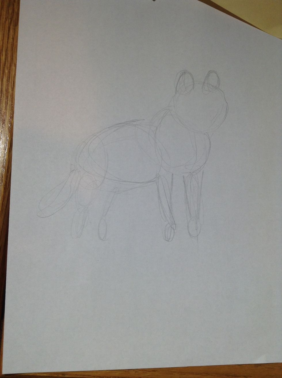 Start with the basic shape of the wolf's body.