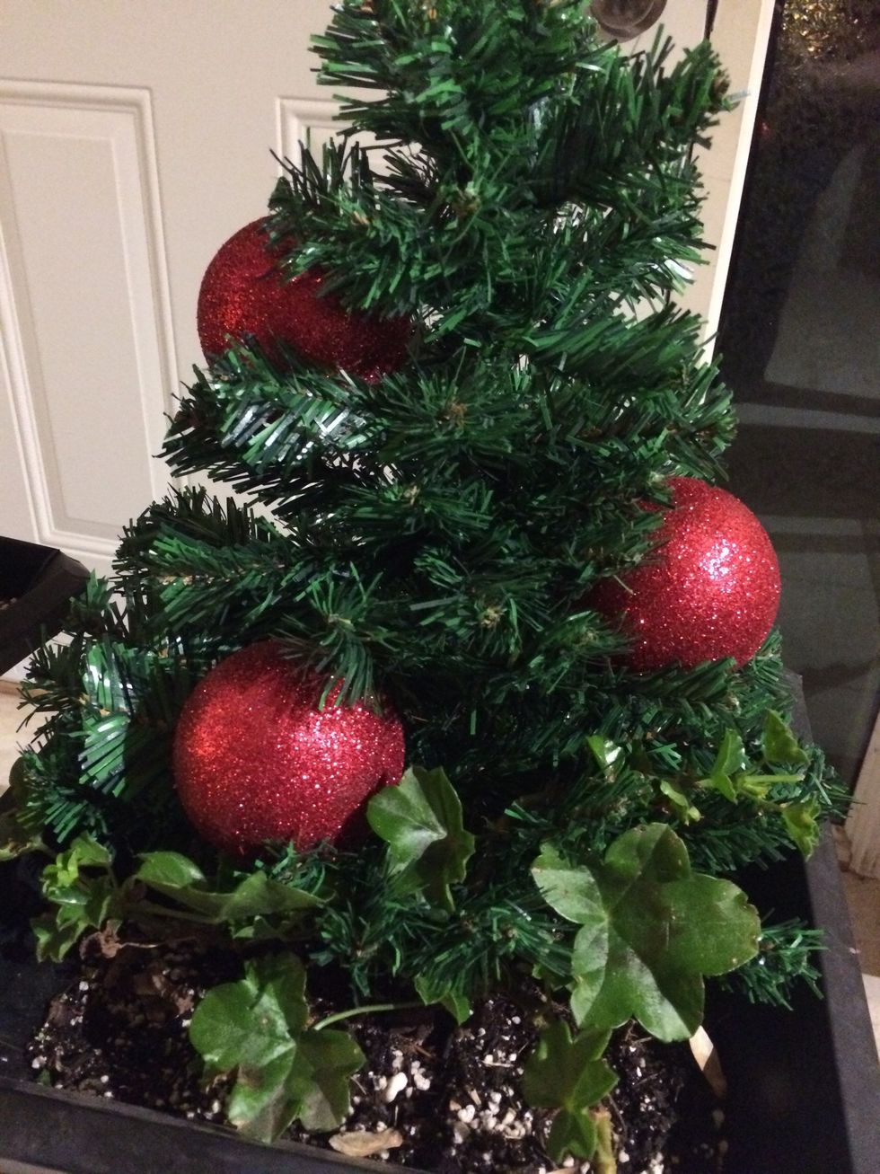 Start with the largest item and use an odd number spaced to be aesthetically pleasing. Gently wrap the wire around the tree trunk to secure it. If you are adding battery op lights, put them on first.