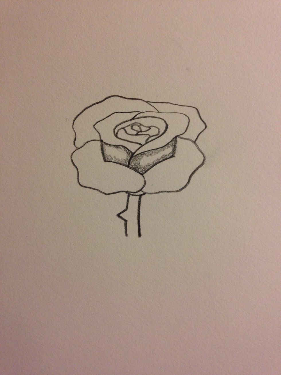 Start with were the rose does not get the most light