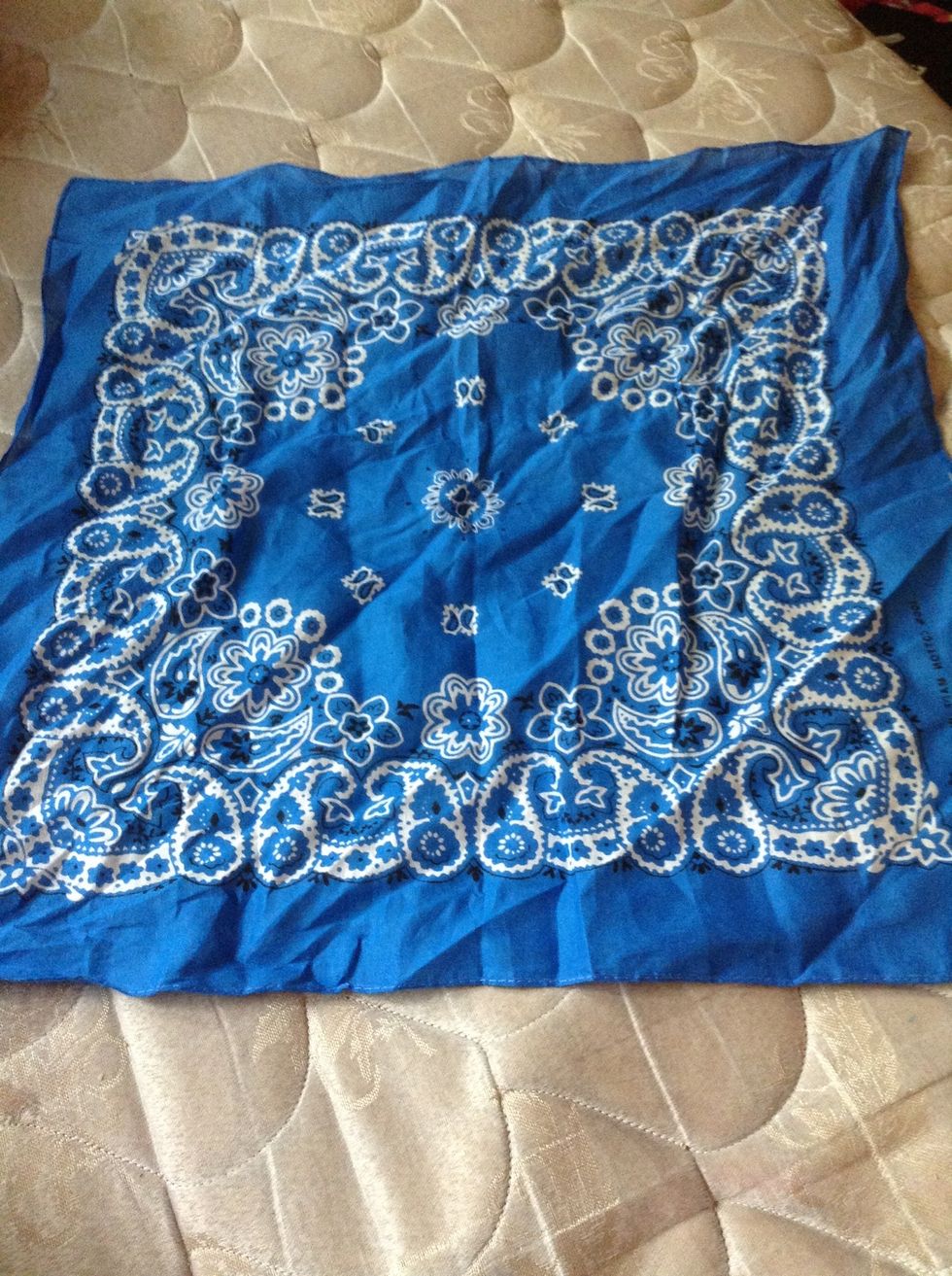 Start with your bandana laid out flat. Mine is a little wrinkled since it was already in a bow, but it doesn't matter.