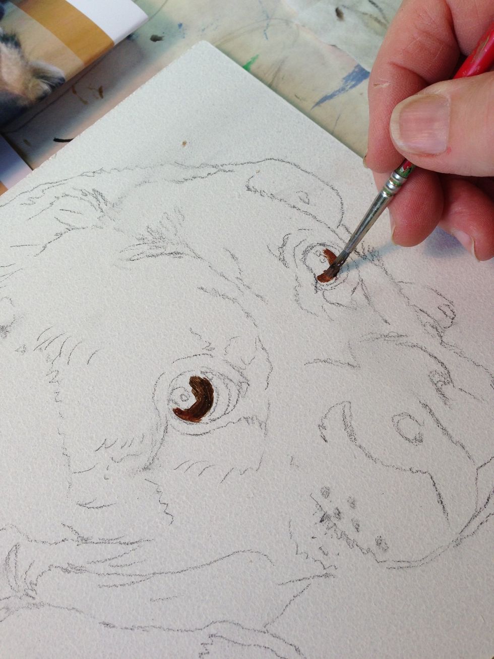 Starting the eyes...