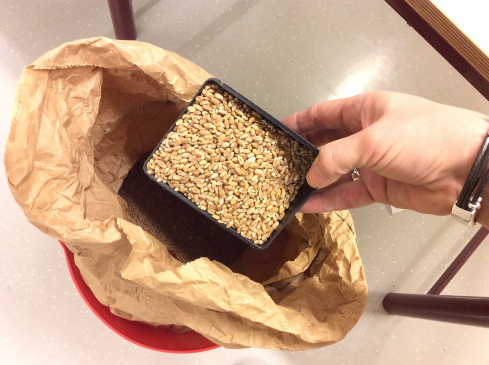 Steg 16-18 hoppar du \u00f6ver om vetev\u00e4rmaren ska sk\u00e4nkas till Barncancerfonden. Annars stoppar du p\u00e5sen med lagom mycket vete.