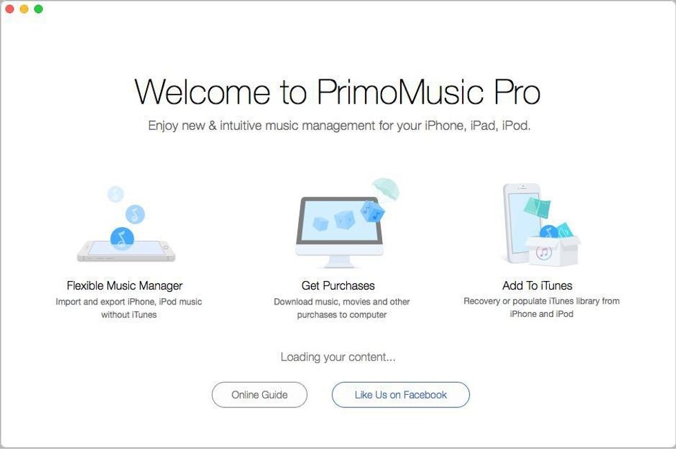 Step 1. Download and install PrimoMusic to your computer > run PrimoMusic and connect your iPhone 8/X to computer.