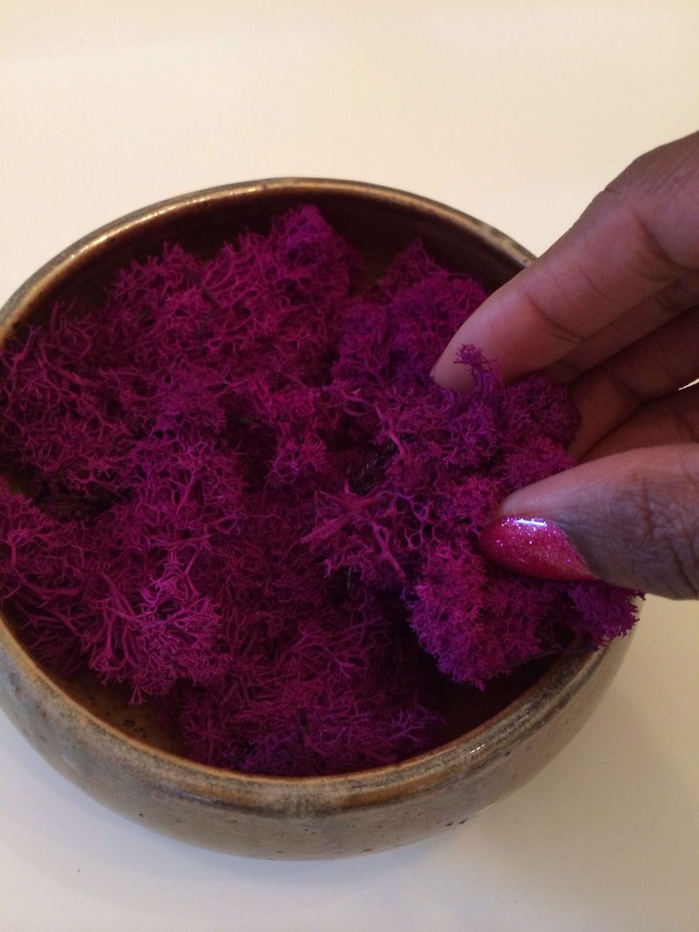 Step 1: Place moss in the bowl.