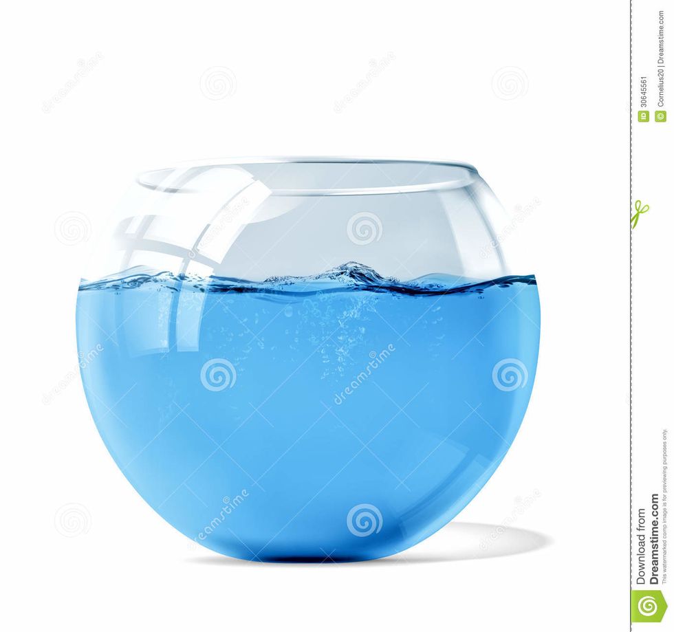 Step 1: Put water in the bowl.