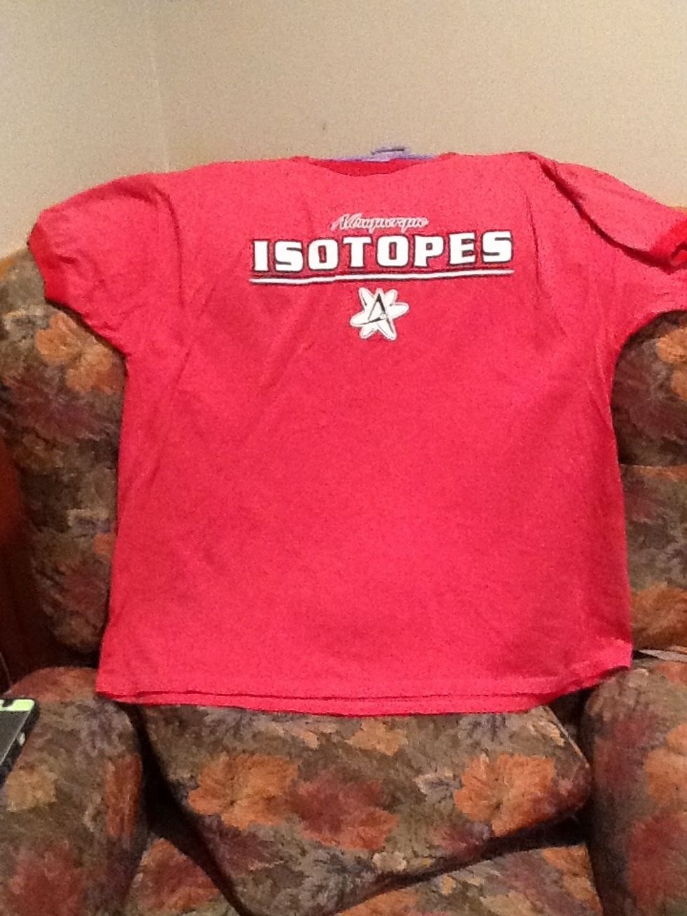 Step 1: You will need to find an old t-shirt. It needs to be stretchy material.