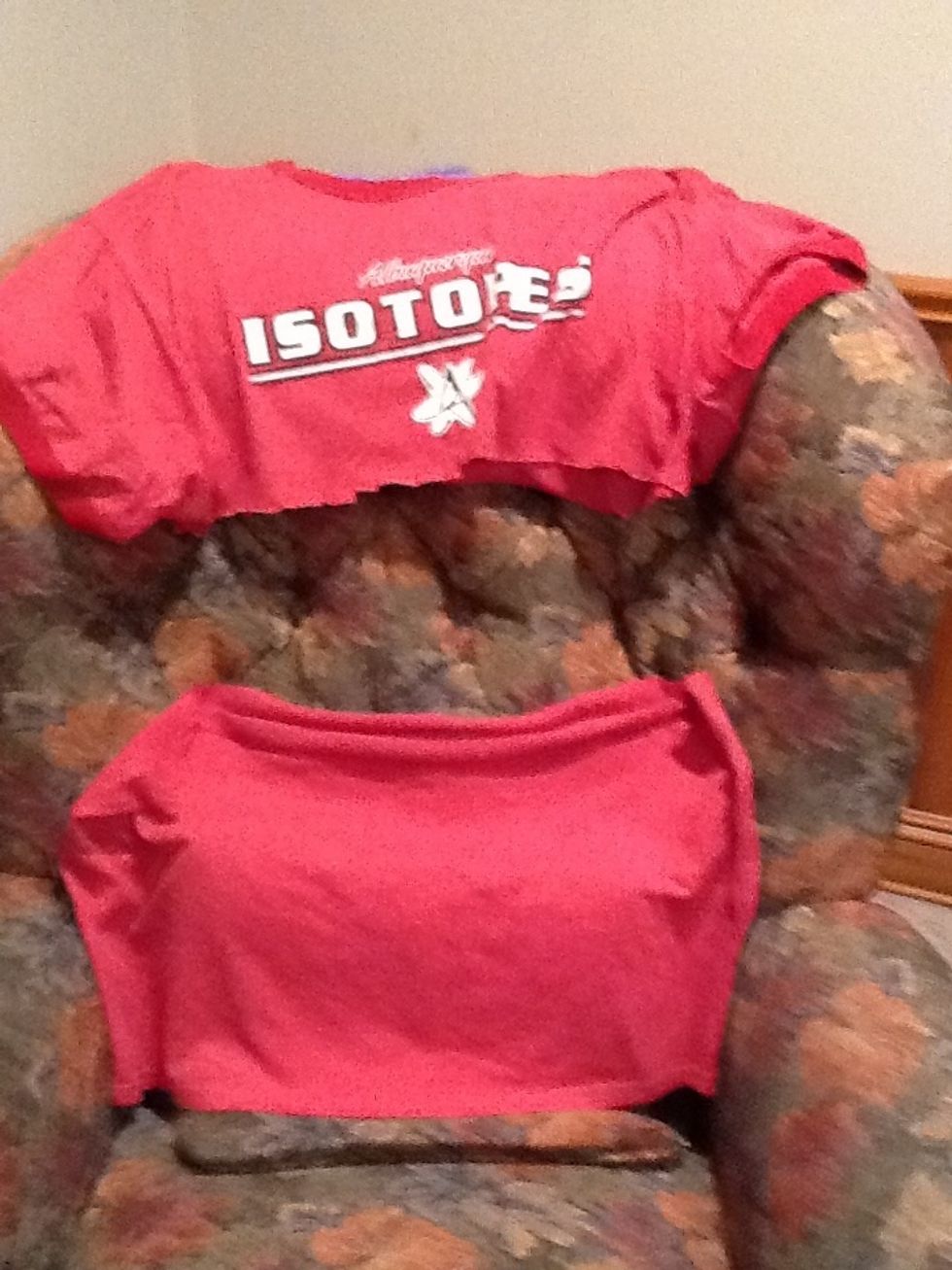 Step 2: Cut the bottom part of the t-shirt off. Do not throw away the top part of the shirt away, you might be able to use it for another project.