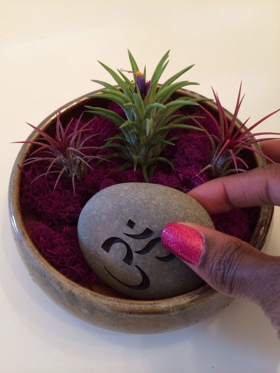 Step 3: Add rock in a place that visually balances the plants.