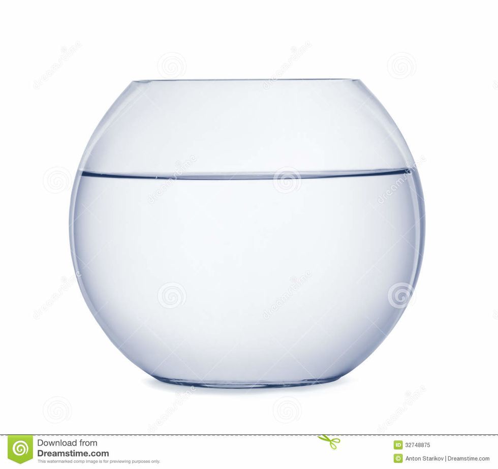 Step 3: Let the water adjust to room temperature and then put the fish in.