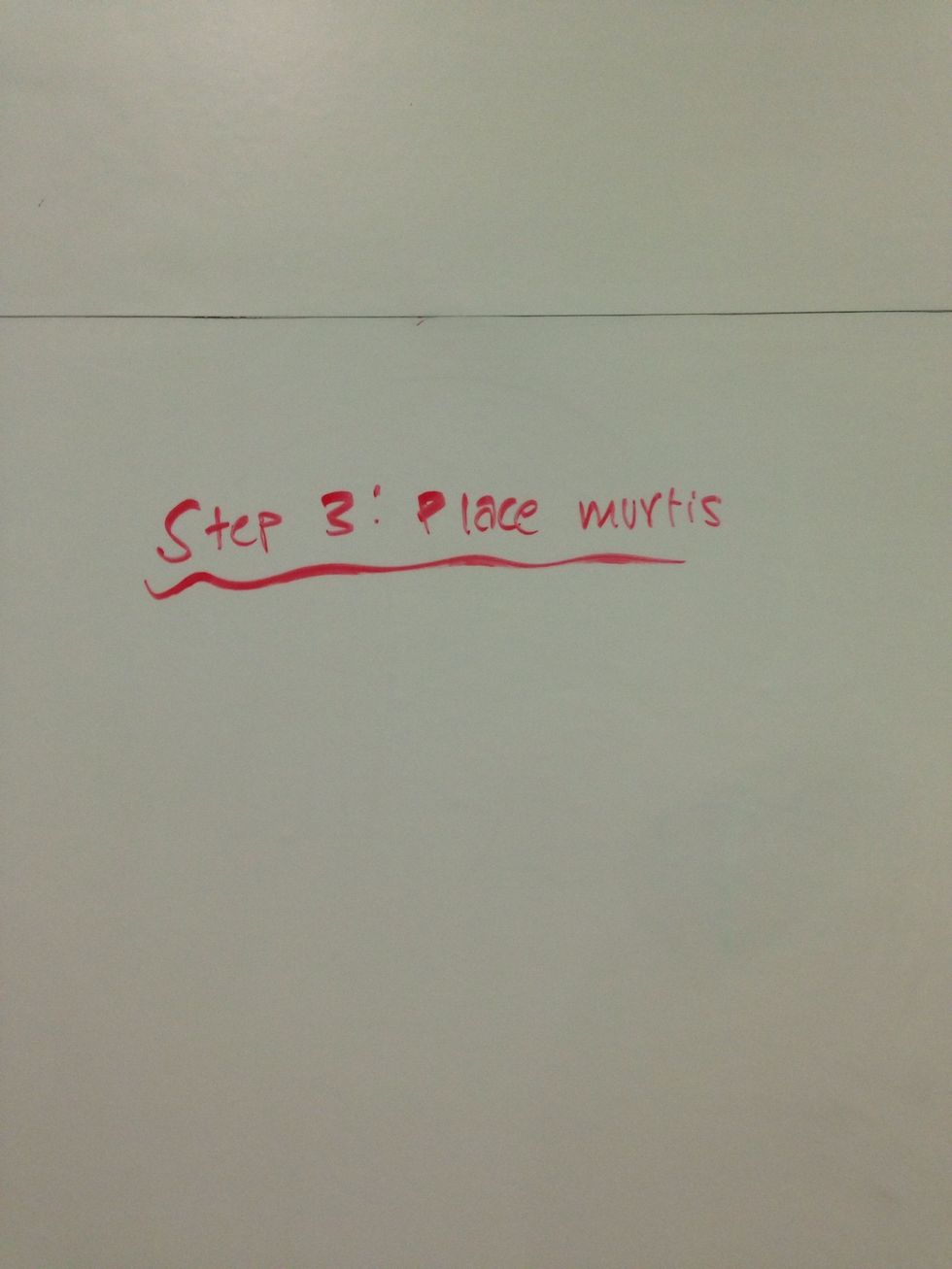 Step 3: Place murtis