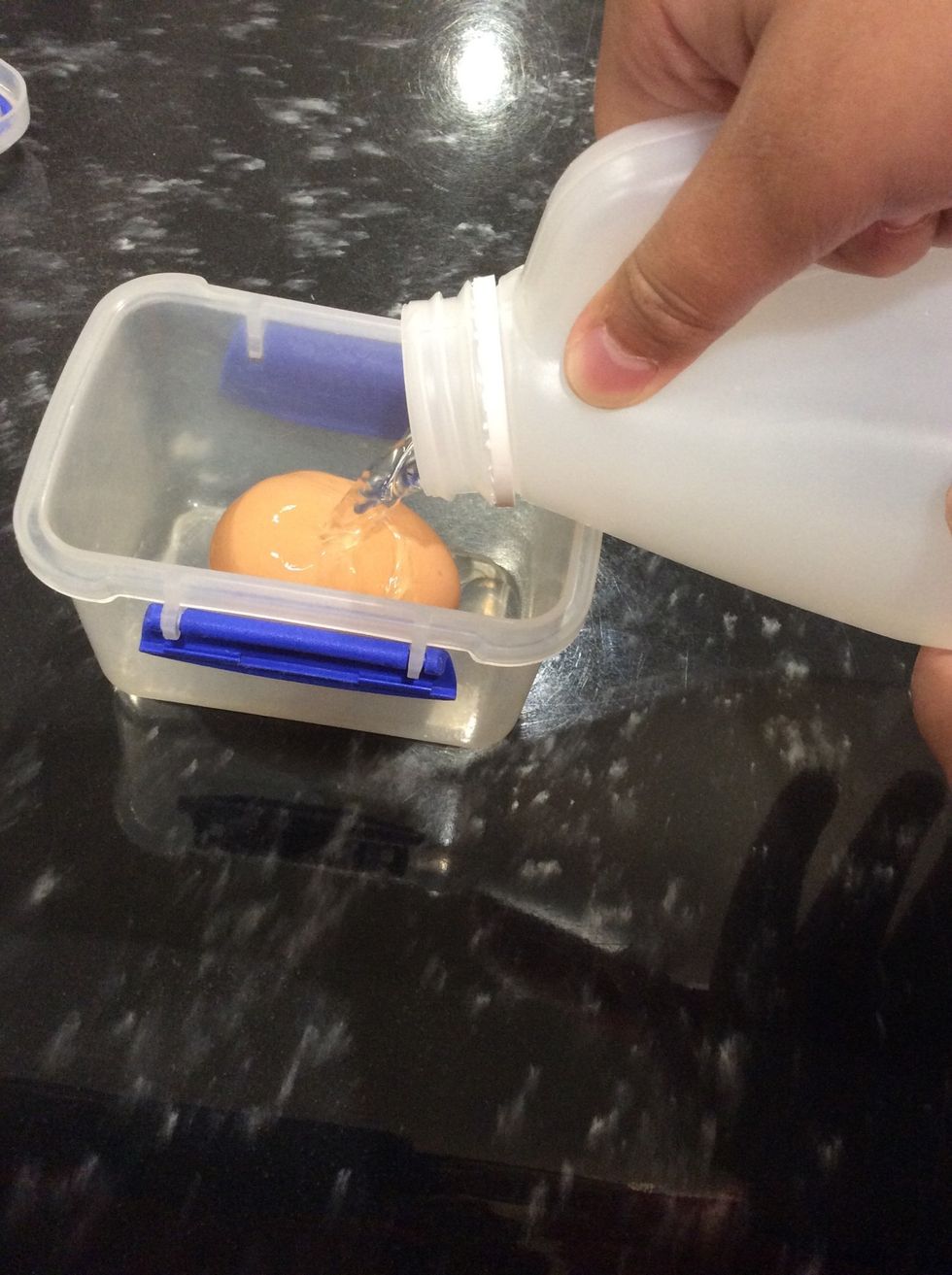 Step 3:Pour your vinegar so it is at least 3/4s of the container.