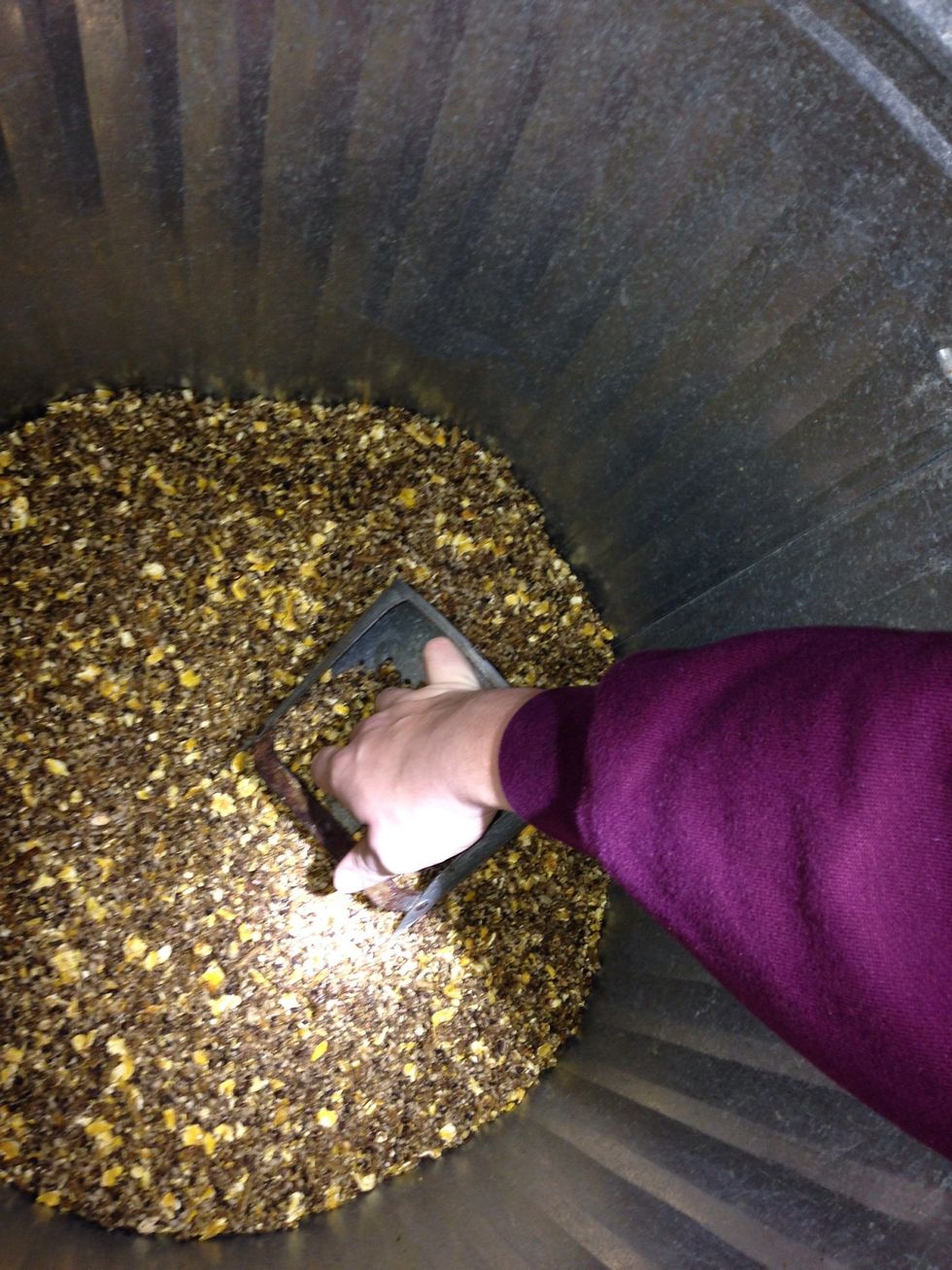 Step 5: Add 6 scoops of Producer's Show Beef Finisher into the mixing bucket.