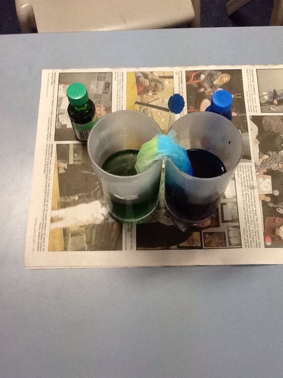 Step 5. Let the tissue soak up the dye. Leave until the colours reach the top of the 'v'.