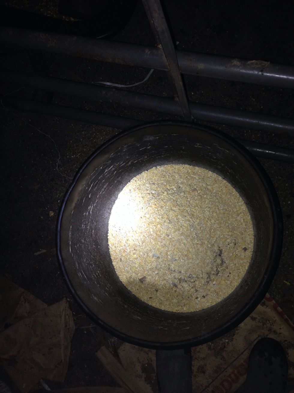 Step 6: Add the mixture of cooked barley, corn, and beet pulp to the finisher feed.