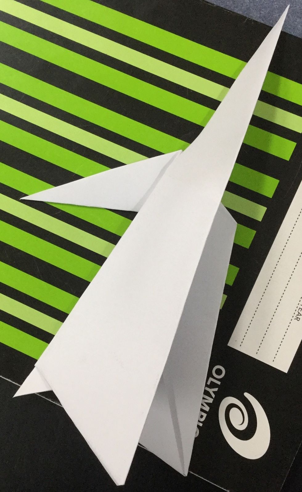 Step 8. There are flaps on the top of the shape. Fold one of the shapes down, but slightly slanted. Do the same with the other flap