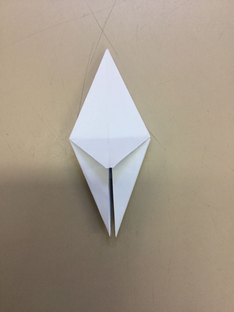 Step 8: Use your hands and fold down the flap that you made in the last step. Crease and continue on all other sides.