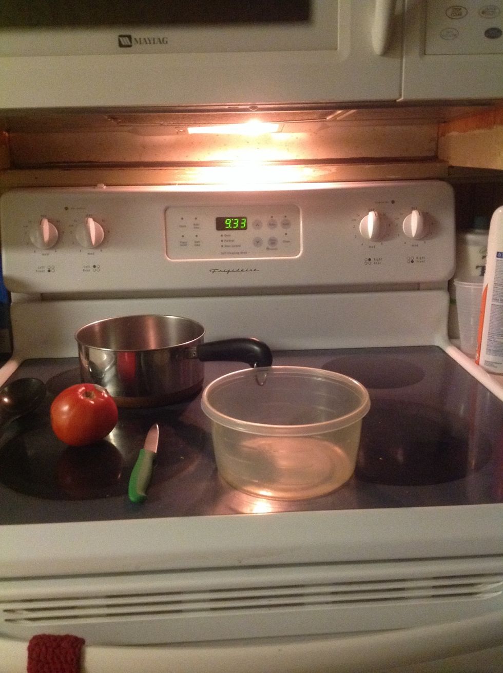 Step one Hello, my name is Brittany Uglow, and I'll be showing you how to blanch a tomato in a few quick, and easy steps. The materials you will need are listed under the supplies tab.