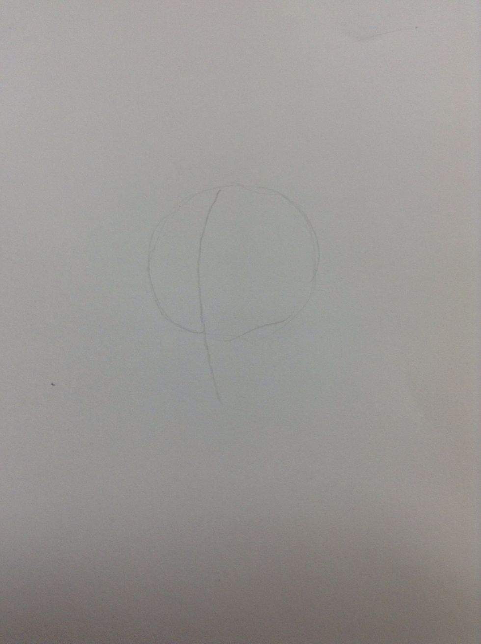 Step two: lightly draw a line from the top of the circle then work your way down until the chin will be located, to determine the centre of the face.