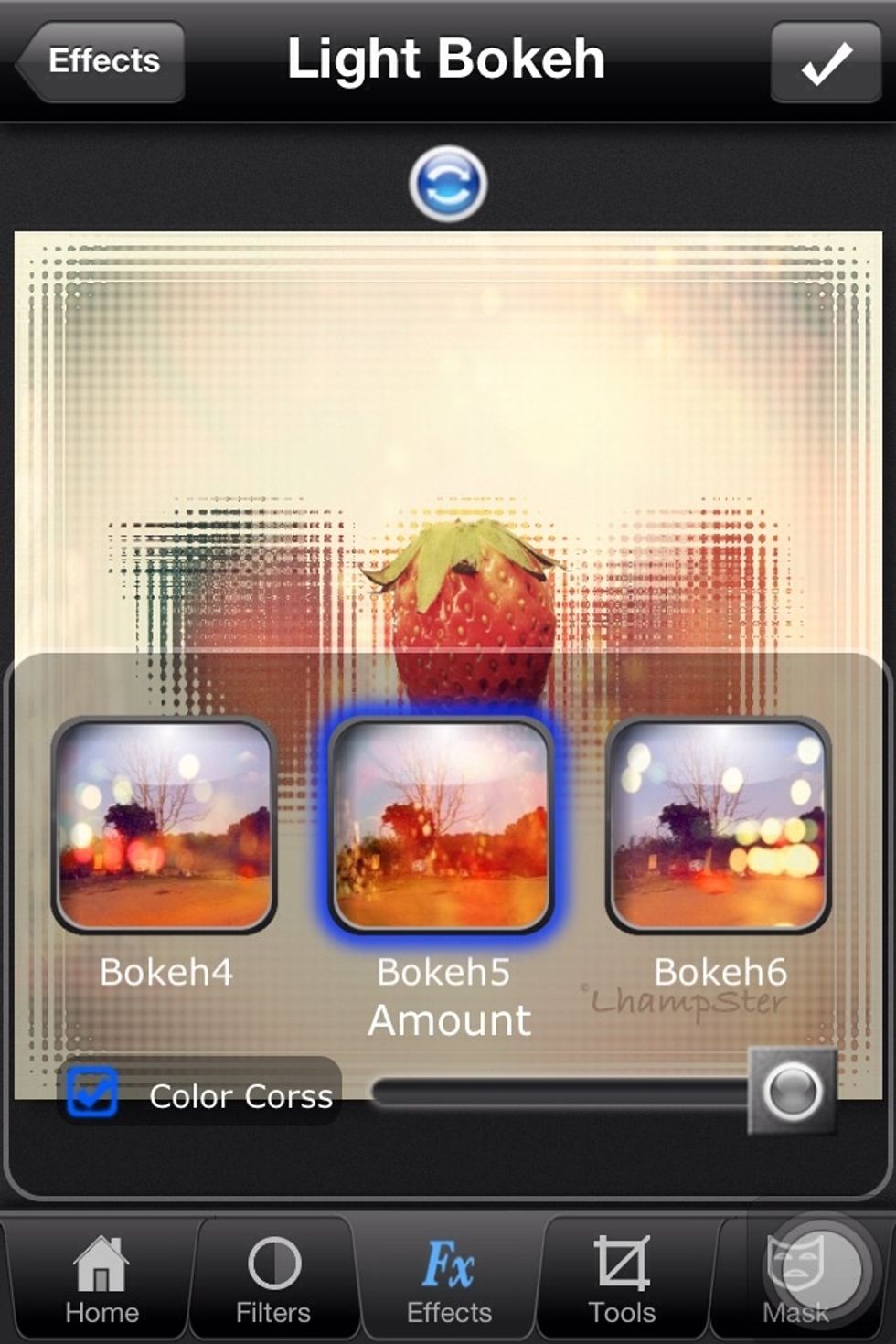 Step10: To make this photo shiny and more dynamic, i applied the light effect using Bokeh pattern.