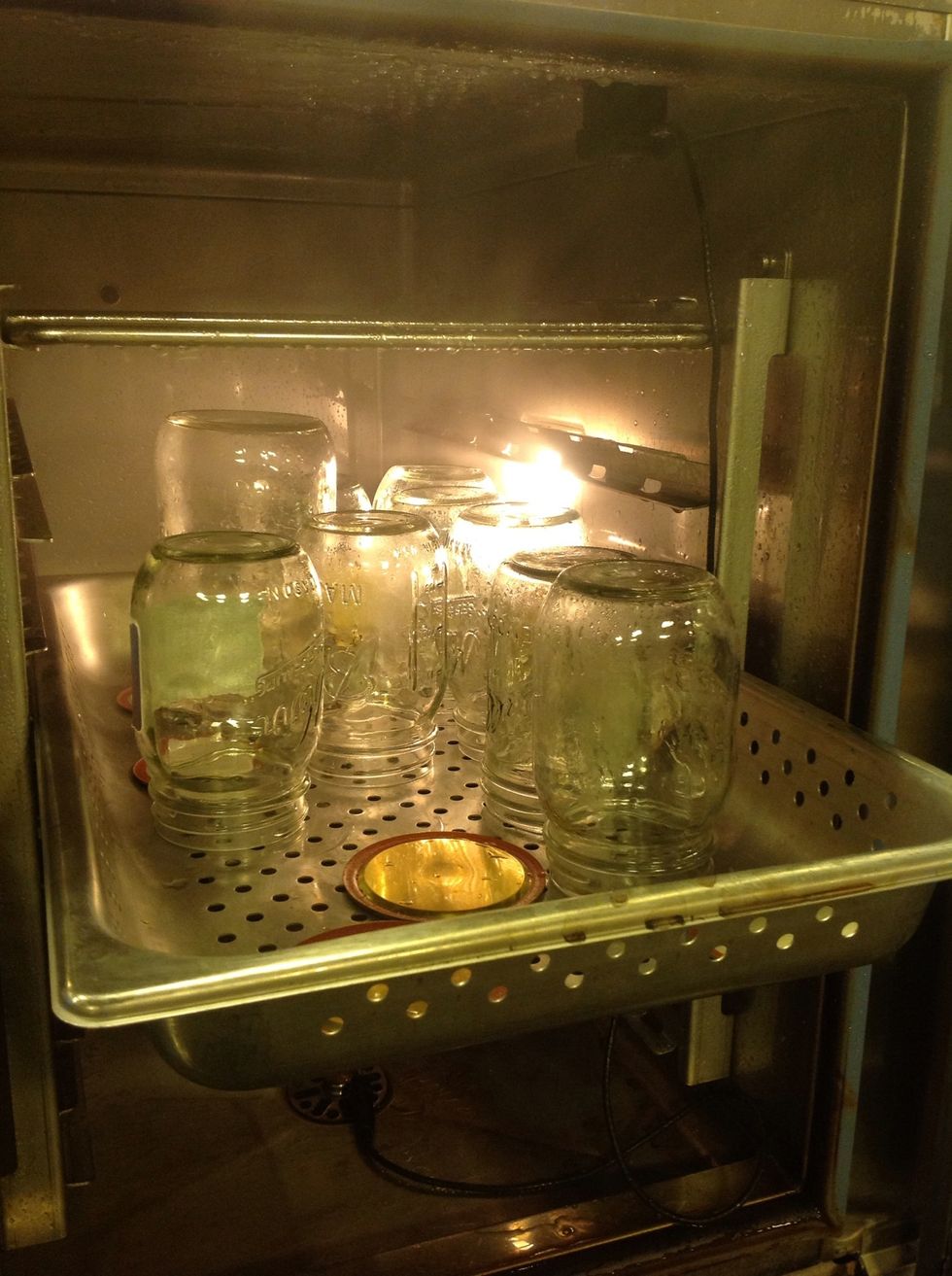 Sterilize in combi oven at 225F (107C) steam for 10 minutes.