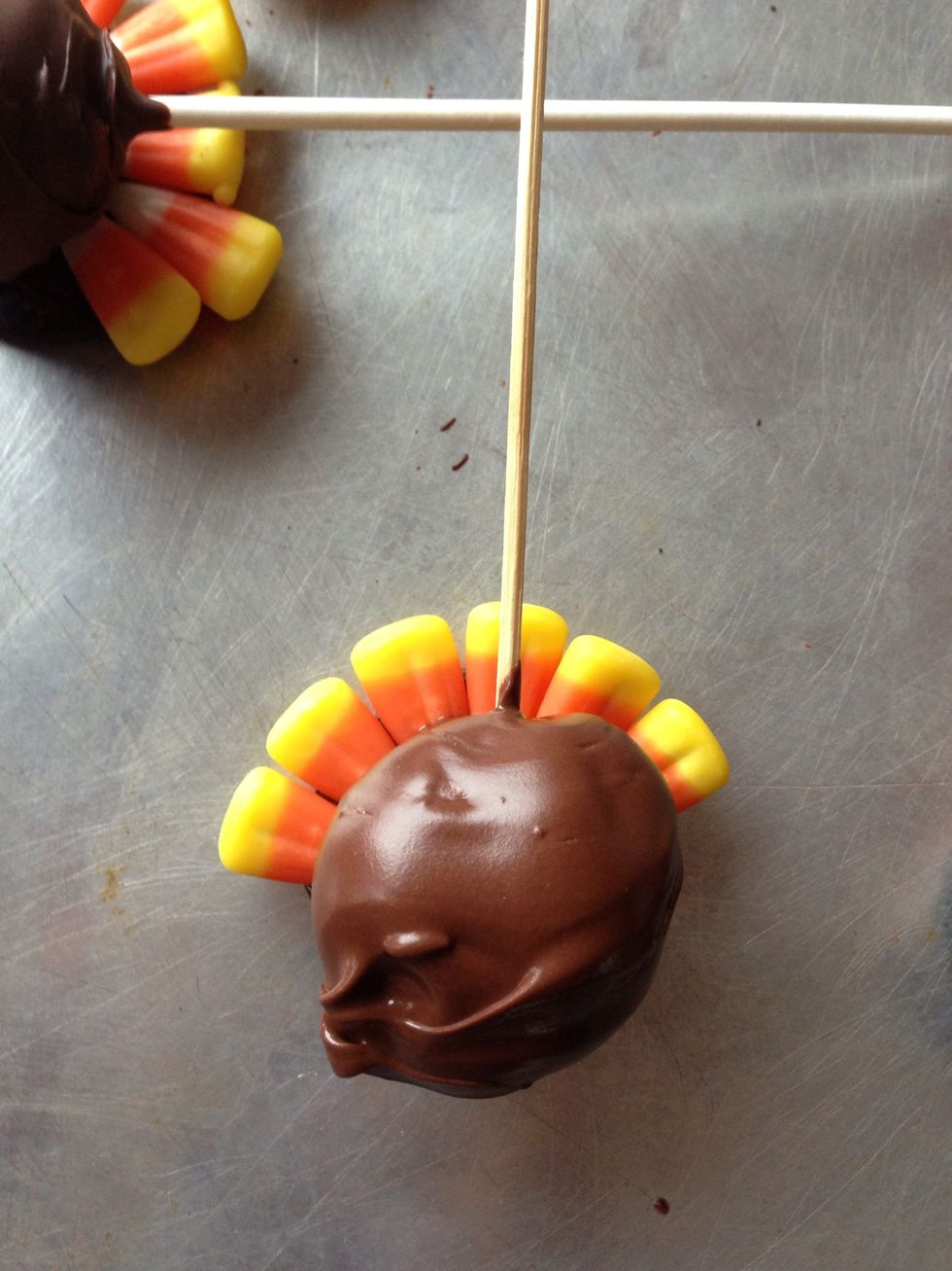 Stick a ball and dip in chocolate then place on the prepared tail