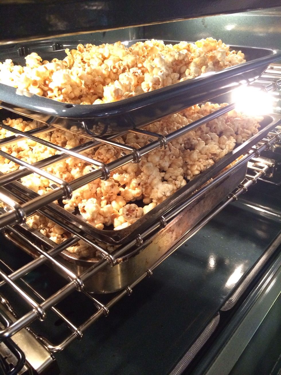 Stick into oven at 250 degrees for 1 hour, stirring every 20 minutes.