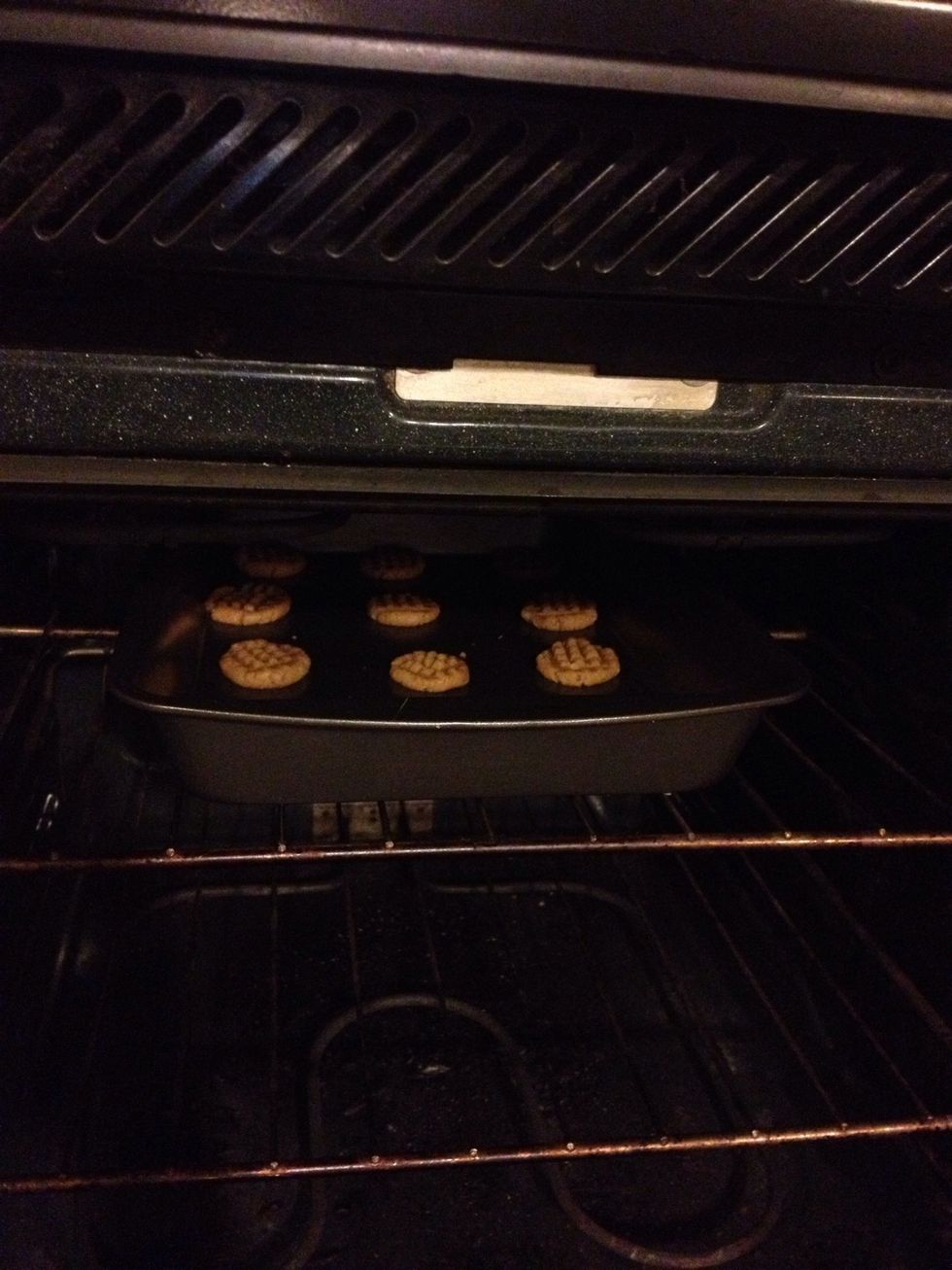 Still Baking...